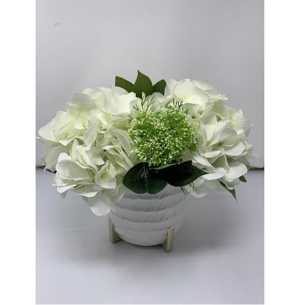 Hydrangea White & Green Arrangement