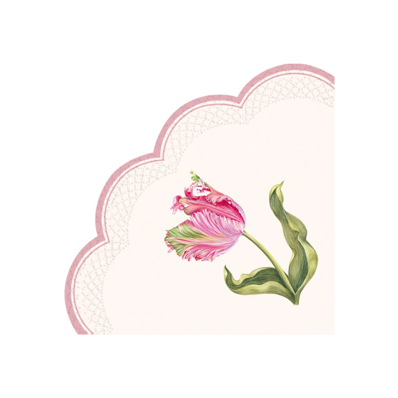 Driselle Cream Napkins - Boutique Marie Dumas