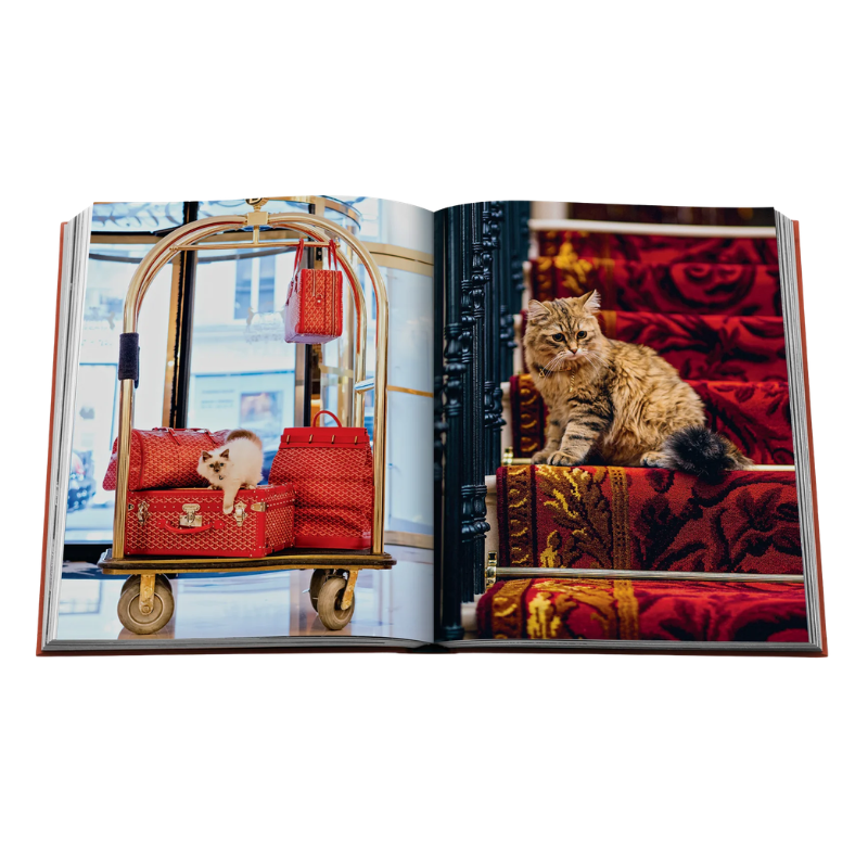 Assouline Chic Cats Book