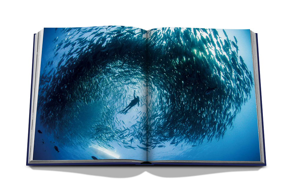 Assouline Ocean Wanderlust Book