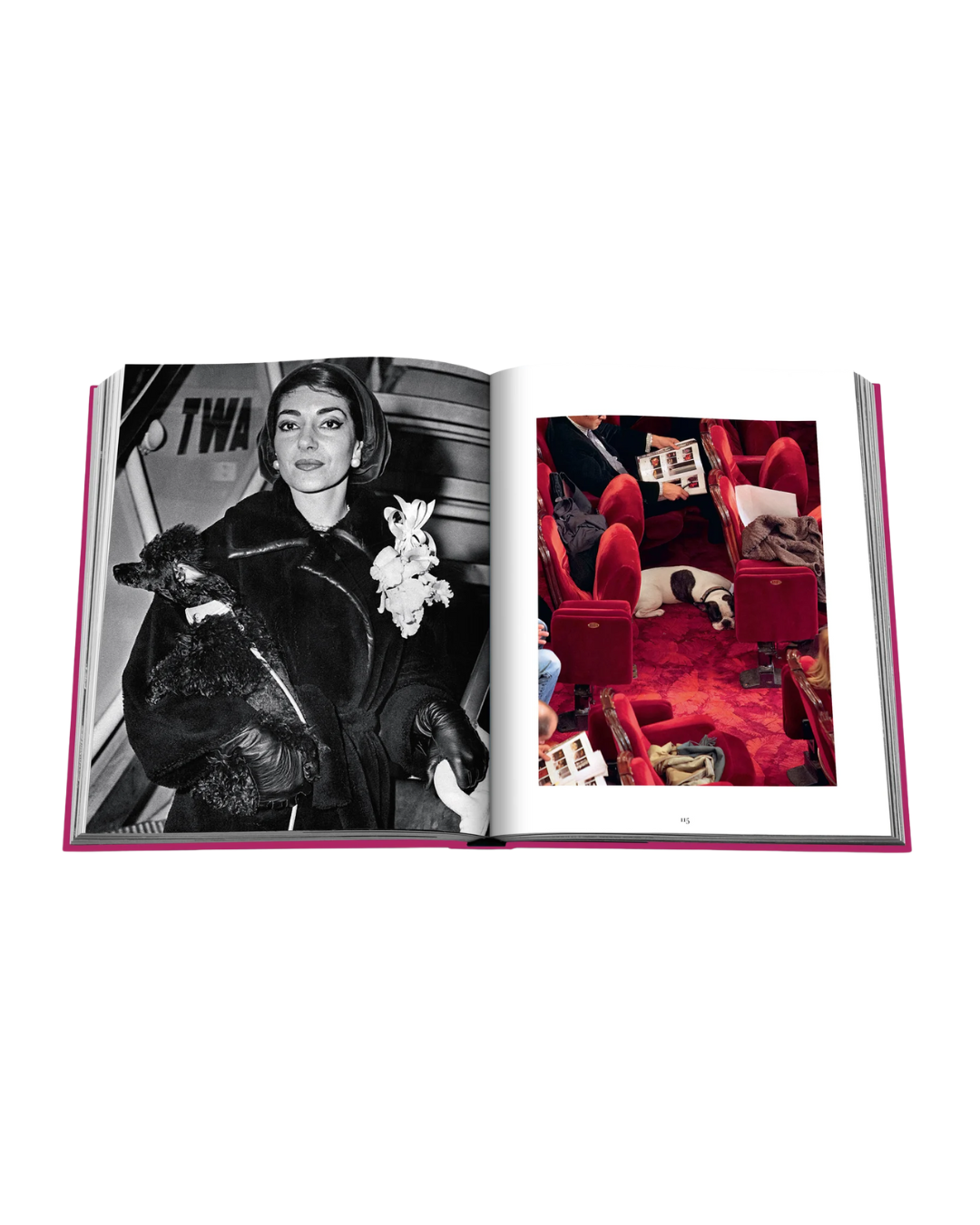 Assouline Chic Dogs Book