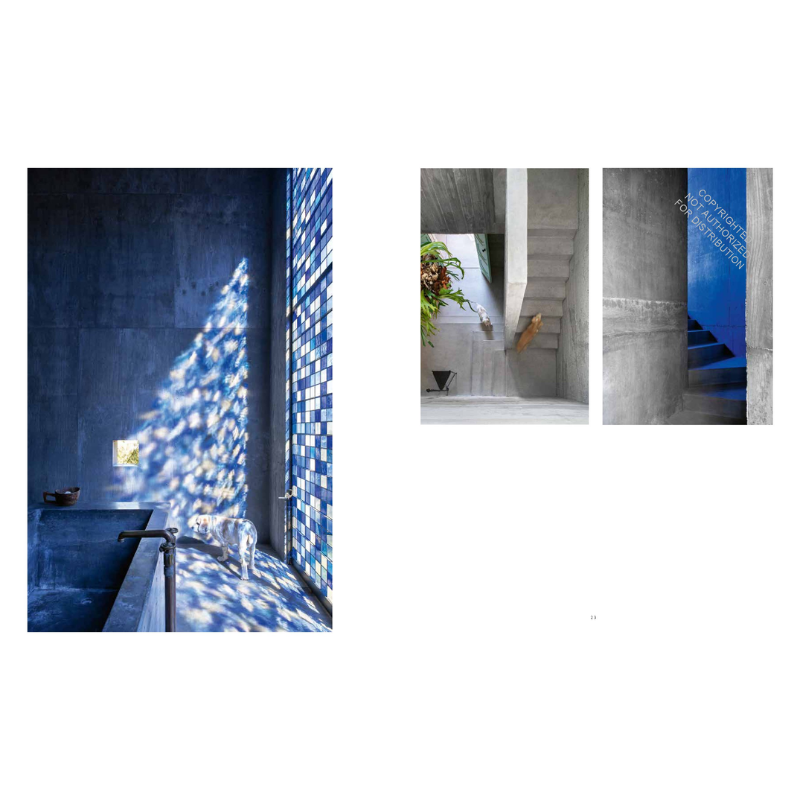 Resident Dog Volume Two Book