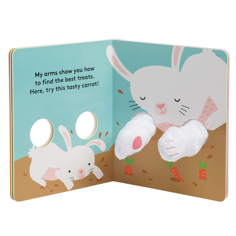 Hug Me Little Bunny Puppet Book