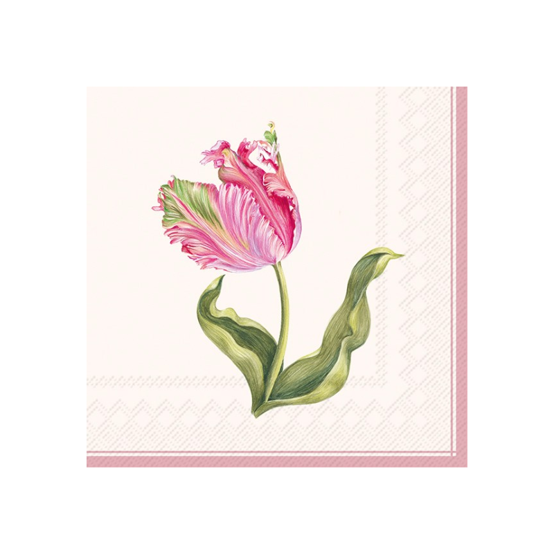 Driselle Cream Napkins - Boutique Marie Dumas