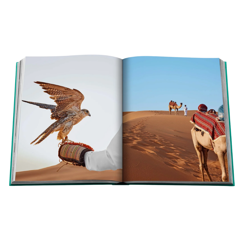 Assouline Abu Dhabi Bright Book