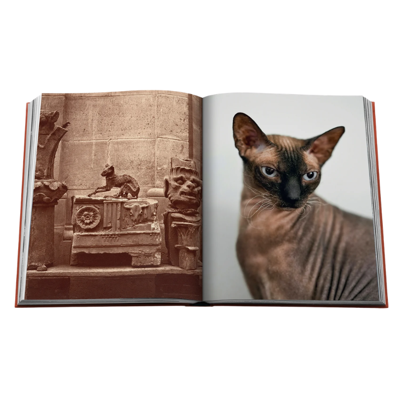 Assouline Chic Cats Book