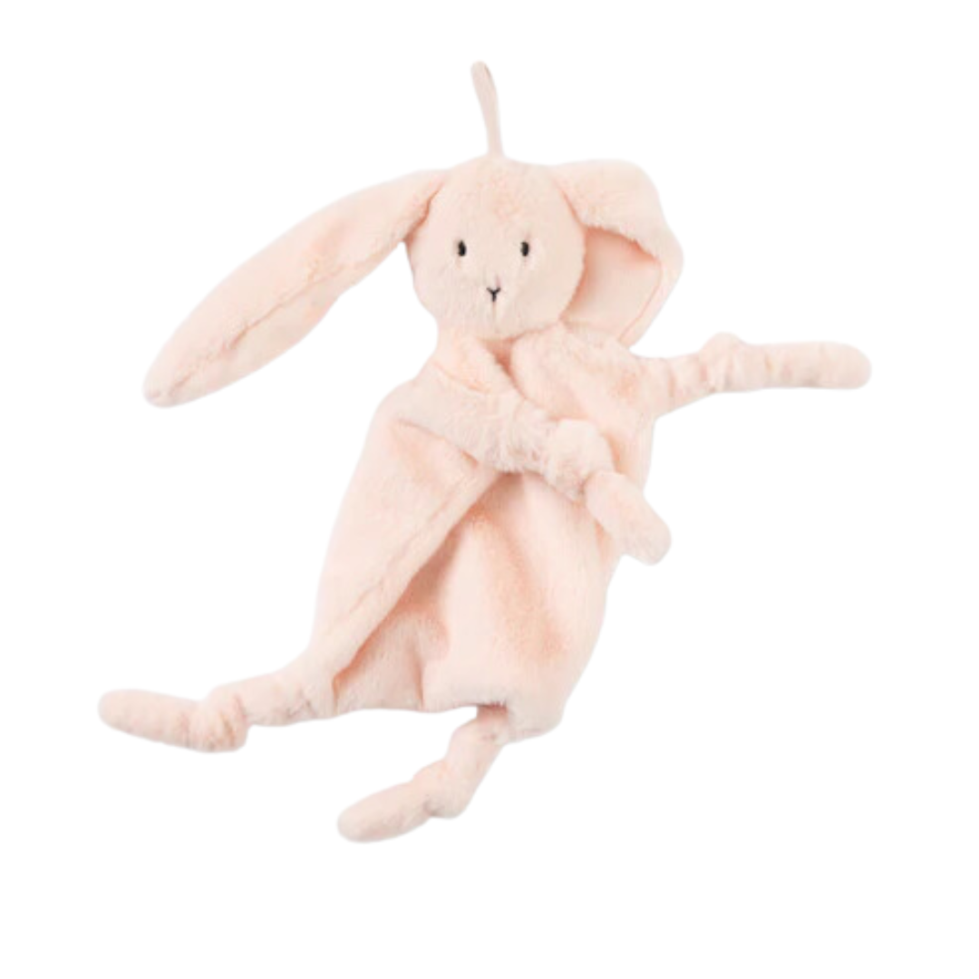 Bunny Teether Buddy