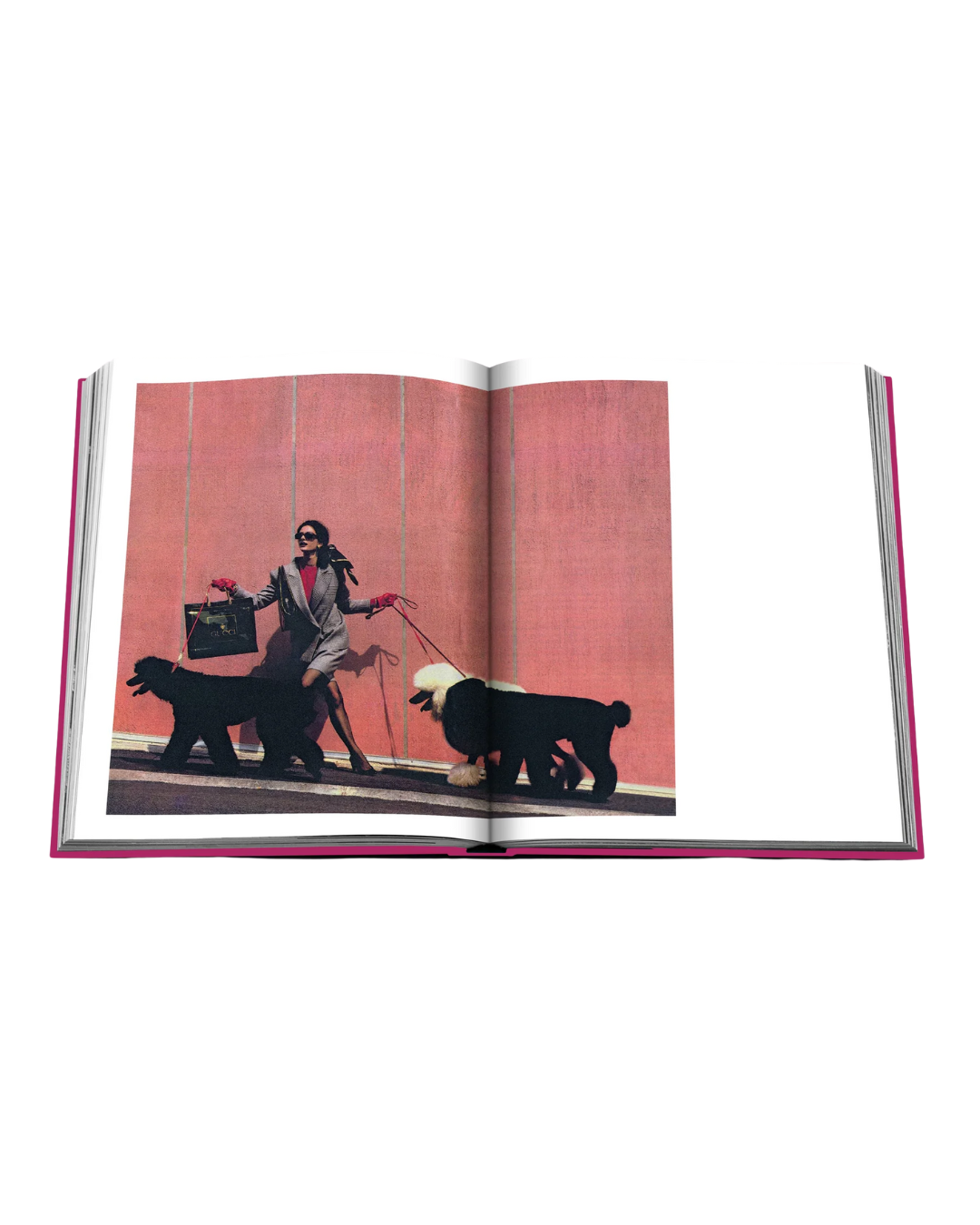 Assouline Chic Dogs Book