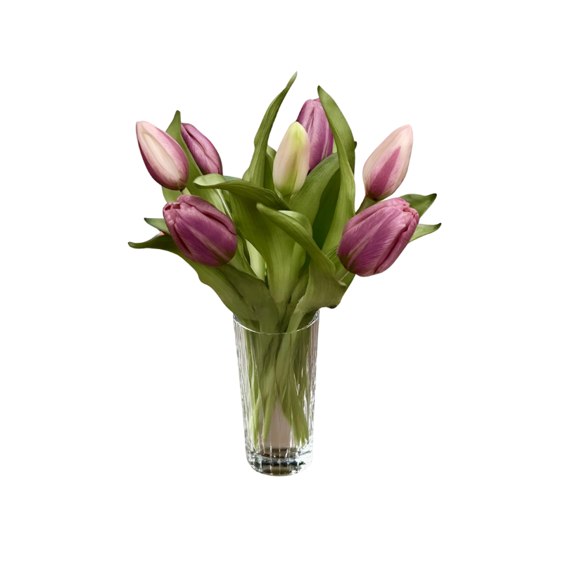 Formosa Tulip Bundle - Boutique Marie Dumas