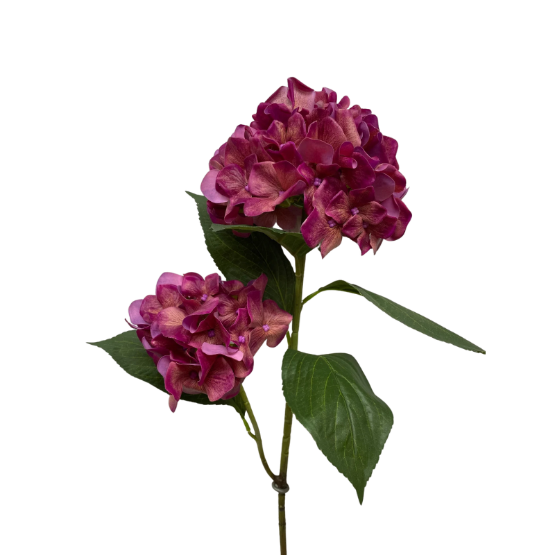 Hydrangea Stem - Boutique Marie Dumas