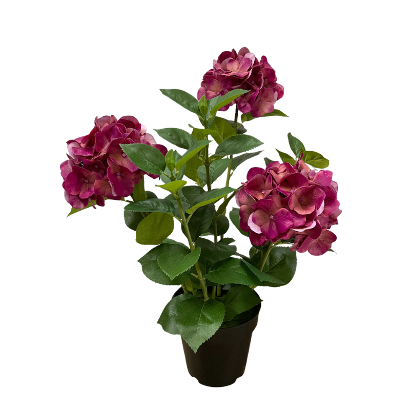 Fresh Touch Three Stem Hydrangea with Planter - Boutique Marie Dumas