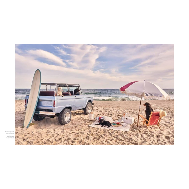 Gray Malin Dogs Photographs Book