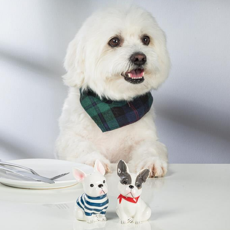 French Bulldogs Salt & Pepper