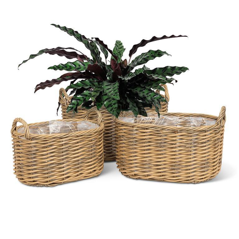 Large Oval Baskets with Handles