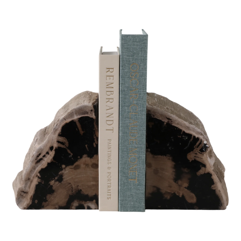 Petrified Wood Bookends