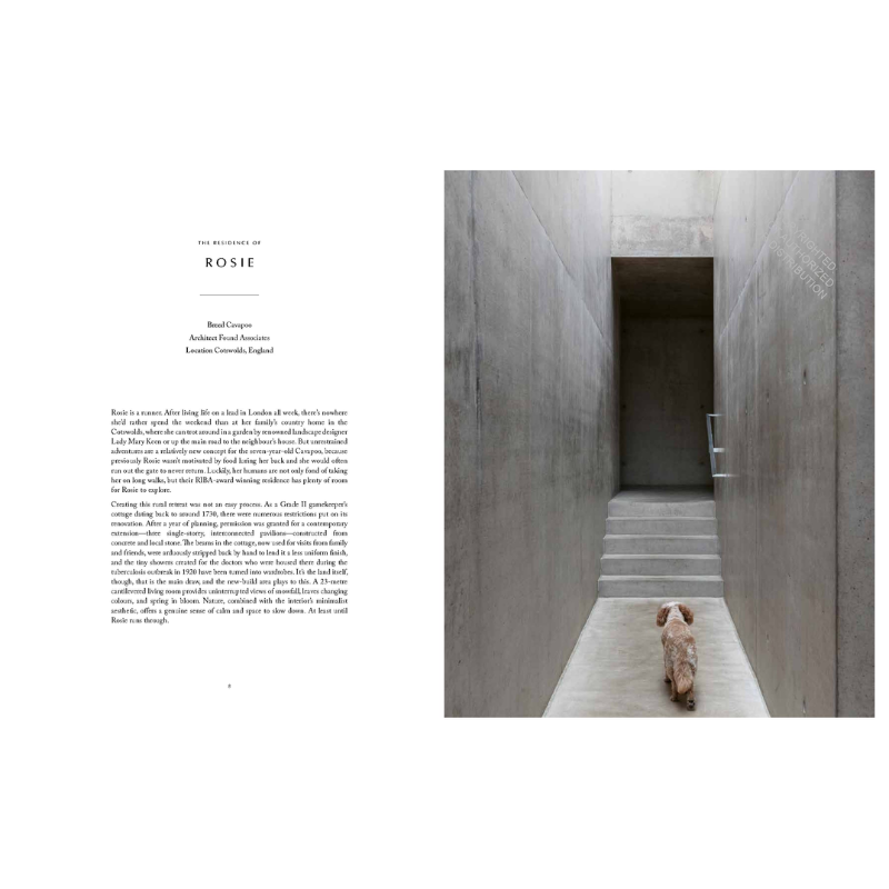 Resident Dog Volume Two Book