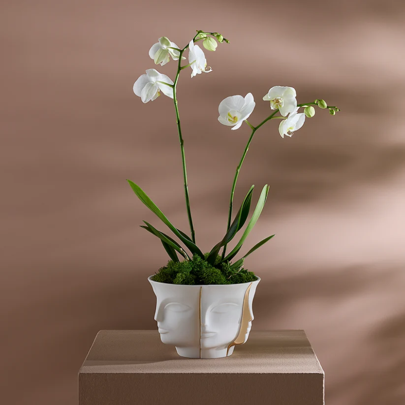 Jonathan Adler Atlas Split Bowl