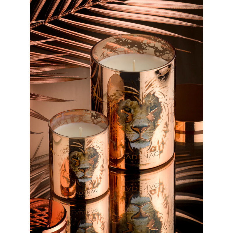 Ladenac Africa Lion Candle