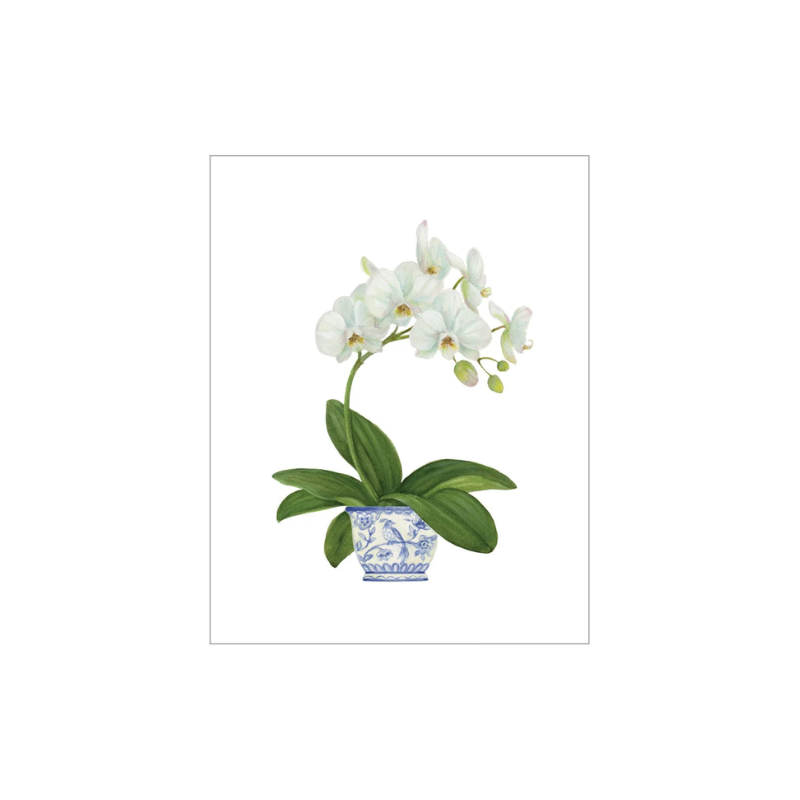 White Orchid Enclosure Card