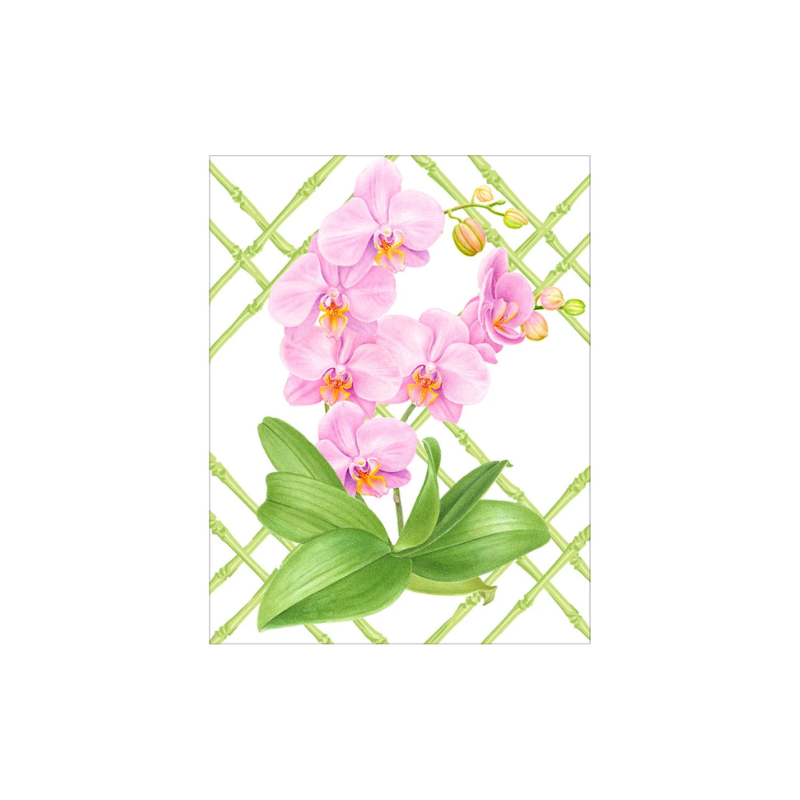 Pink Orchid Enclosure Card