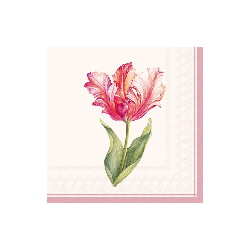 Driselle Cream Napkins - Boutique Marie Dumas