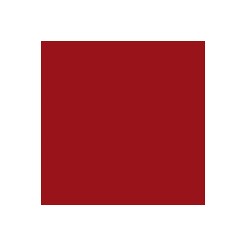 Paviot Rouge Uni Dinner Napkins