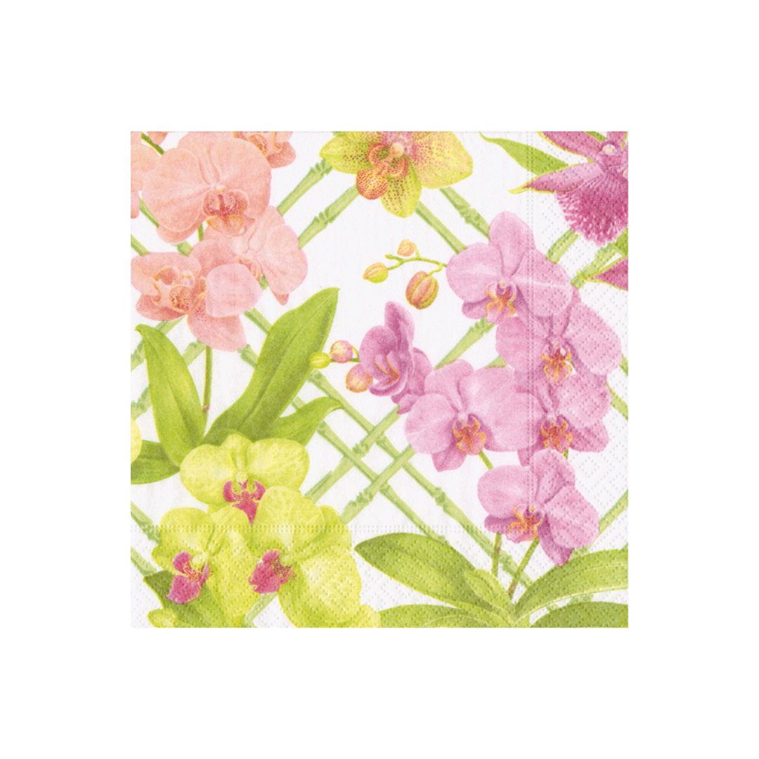 Orchid Conservatory Cocktail Napkins