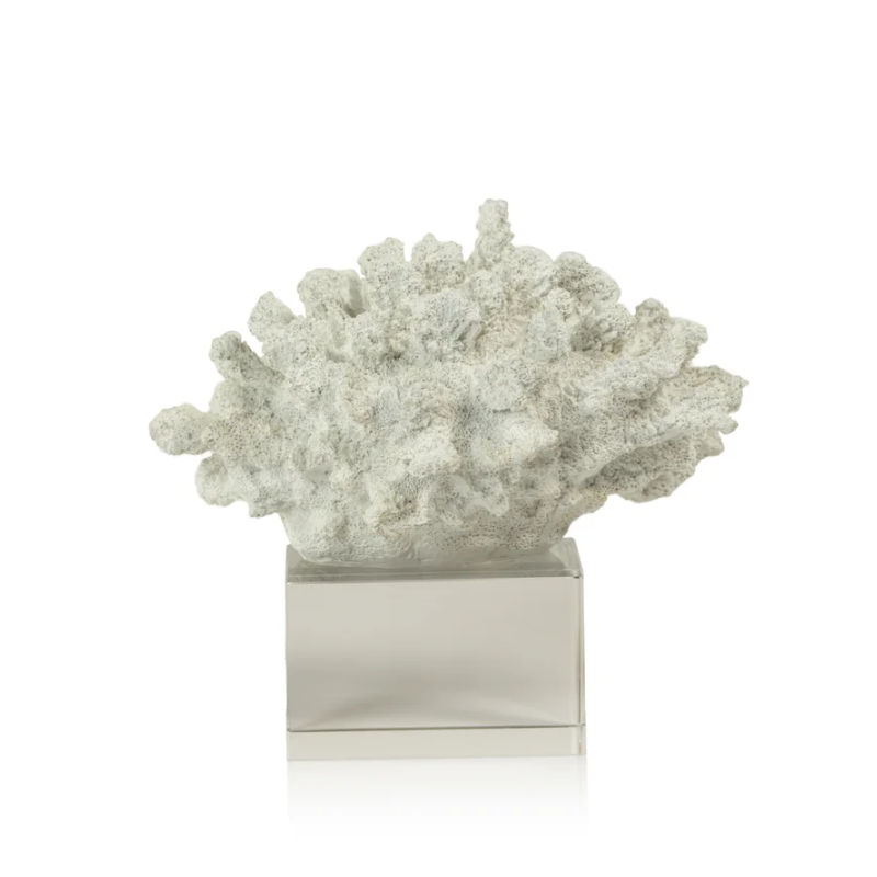 White Coral on Acrylic Base