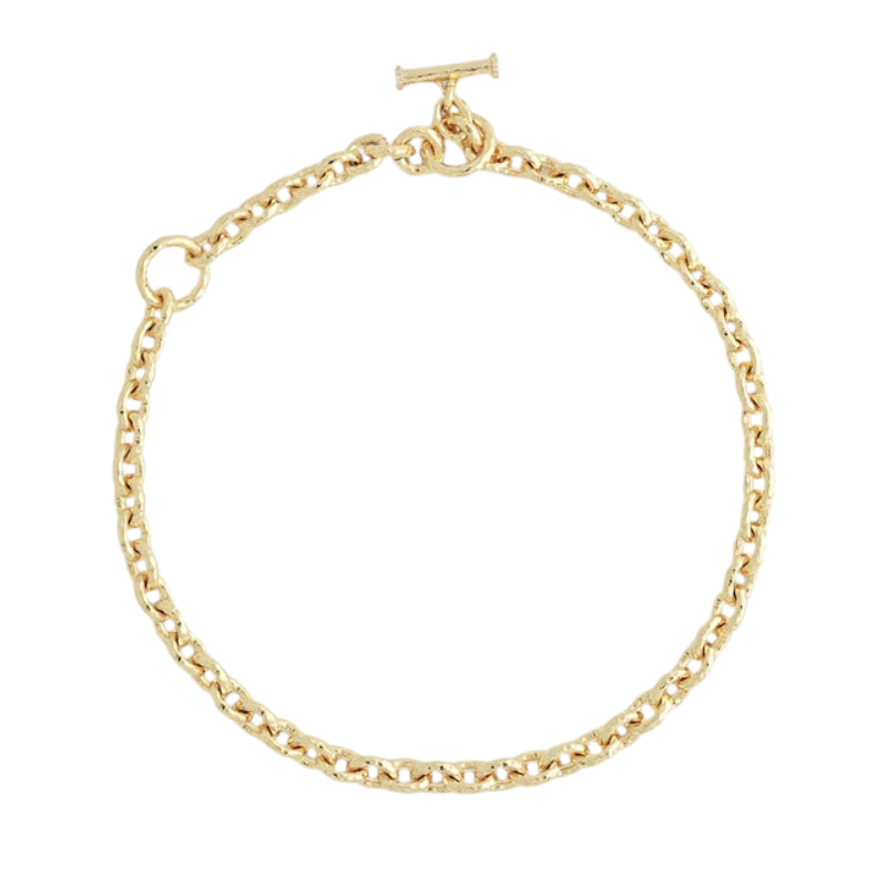 Anabel Aram Farrier Thick Chain Necklace