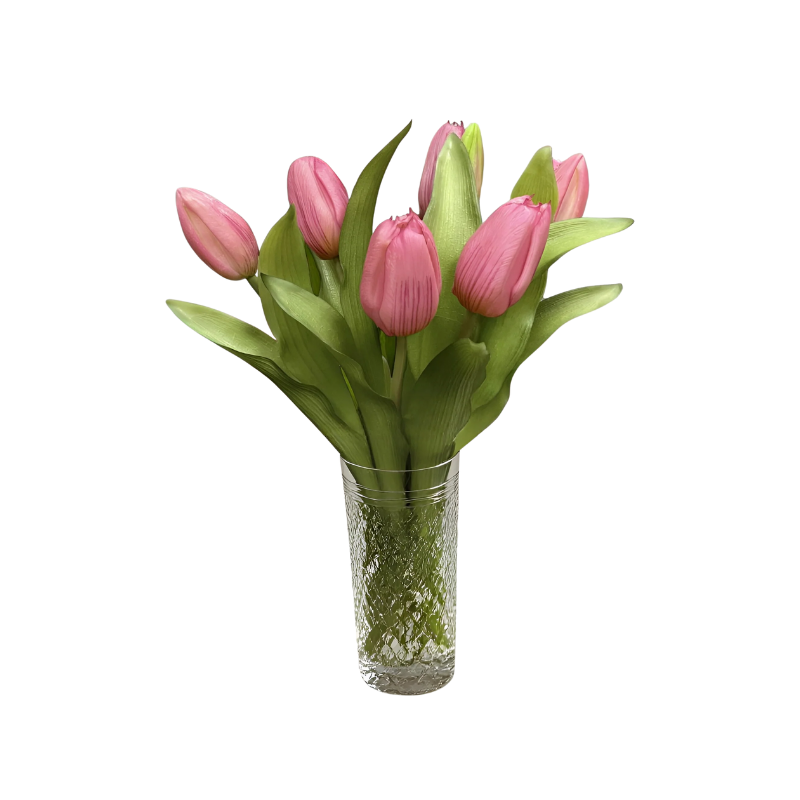Formosa Tulip Bundle - Boutique Marie Dumas