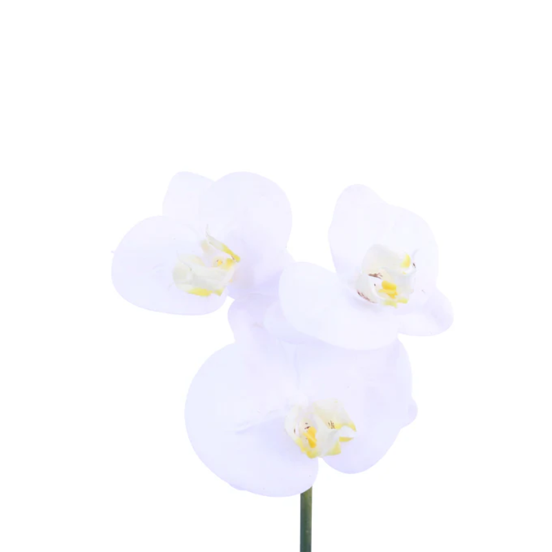 Phalaeonopsis 3 Flowers - White - Boutique Marie Dumas