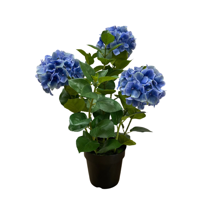 Fresh Touch Three Stem Hydrangea with Planter - Boutique Marie Dumas