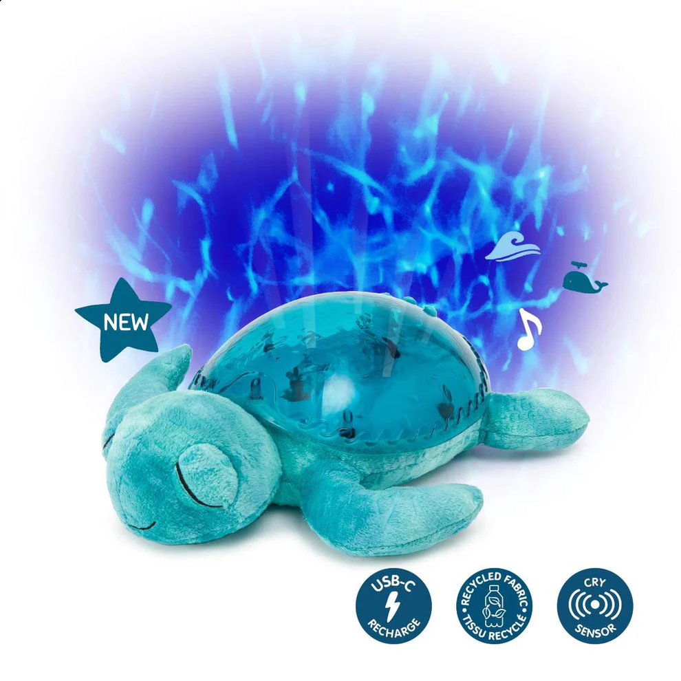 Tranquil Turtle - Aqua