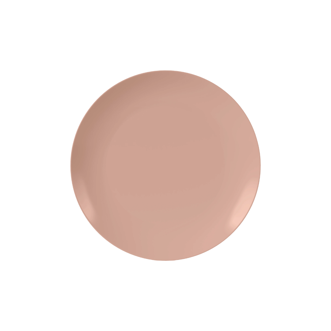 Set of 10 Blush Dinner Plates