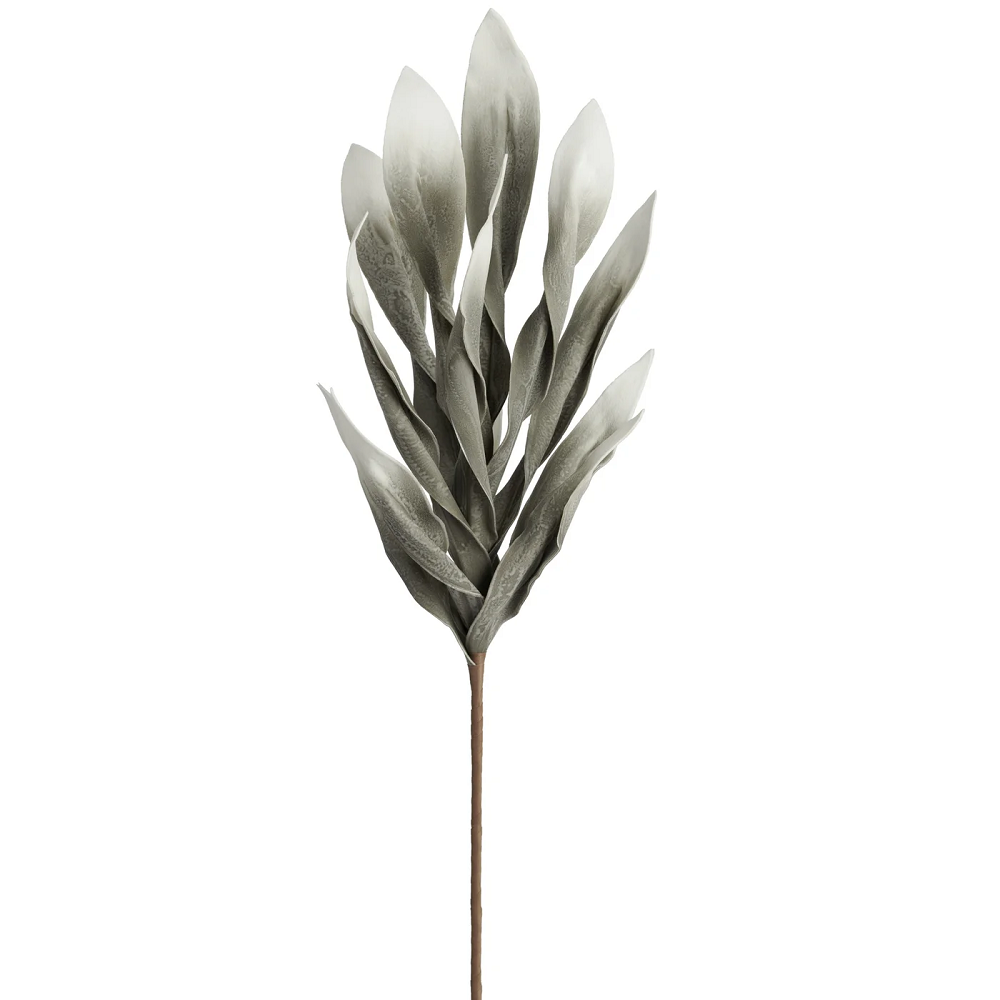 Grey Leaf Flame Grass Stem