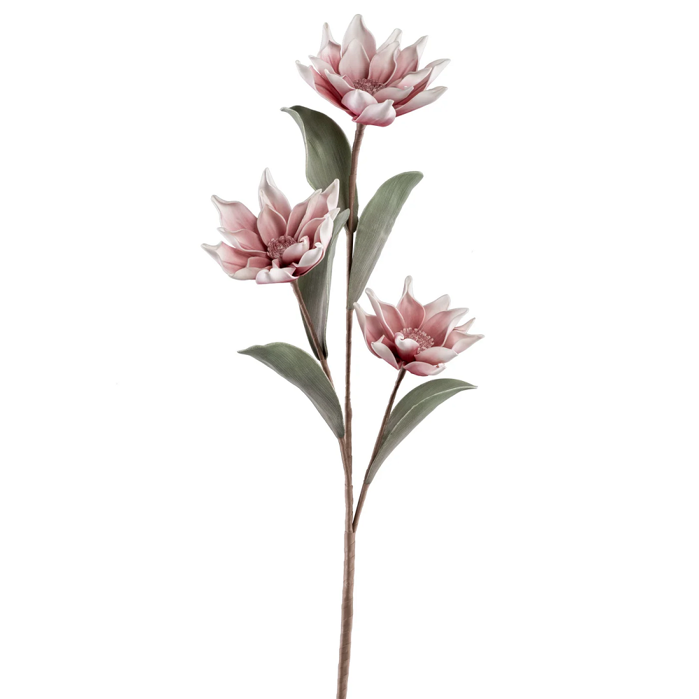 Pink Lotus Bloom Stem