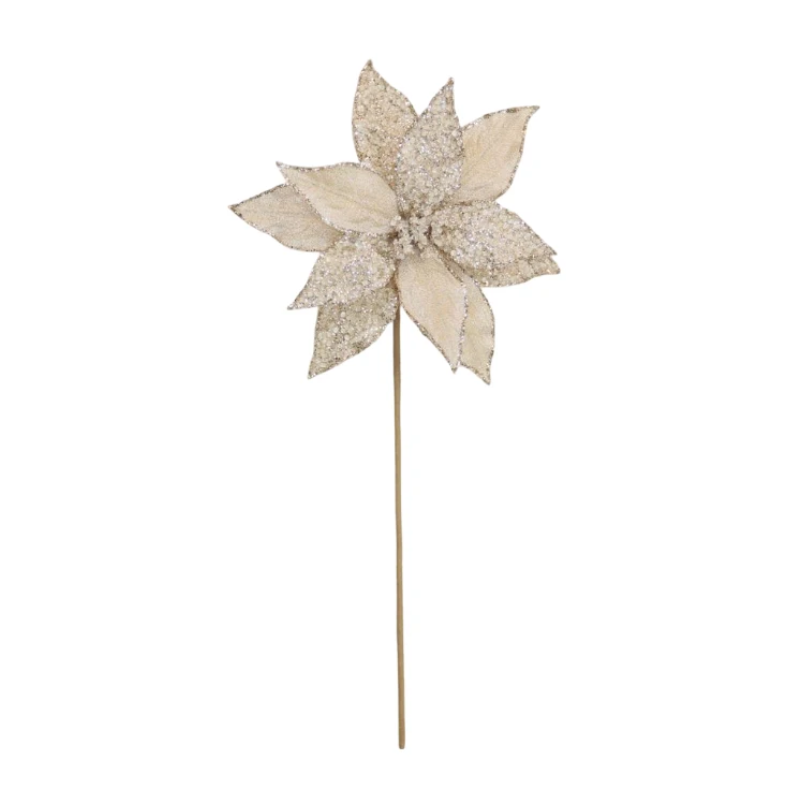 Microbilles Champagne Poinsettia