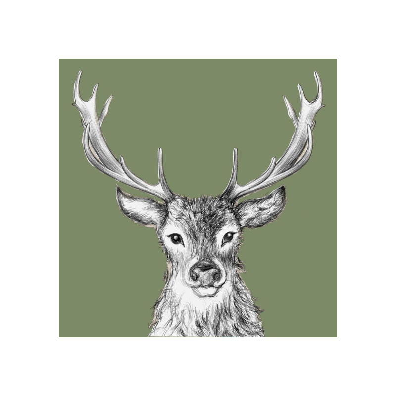 Paul Green Luncheon Napkins