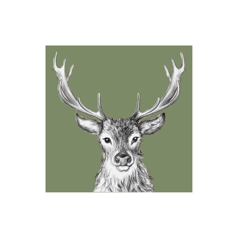 Paul Green Cocktail Napkins