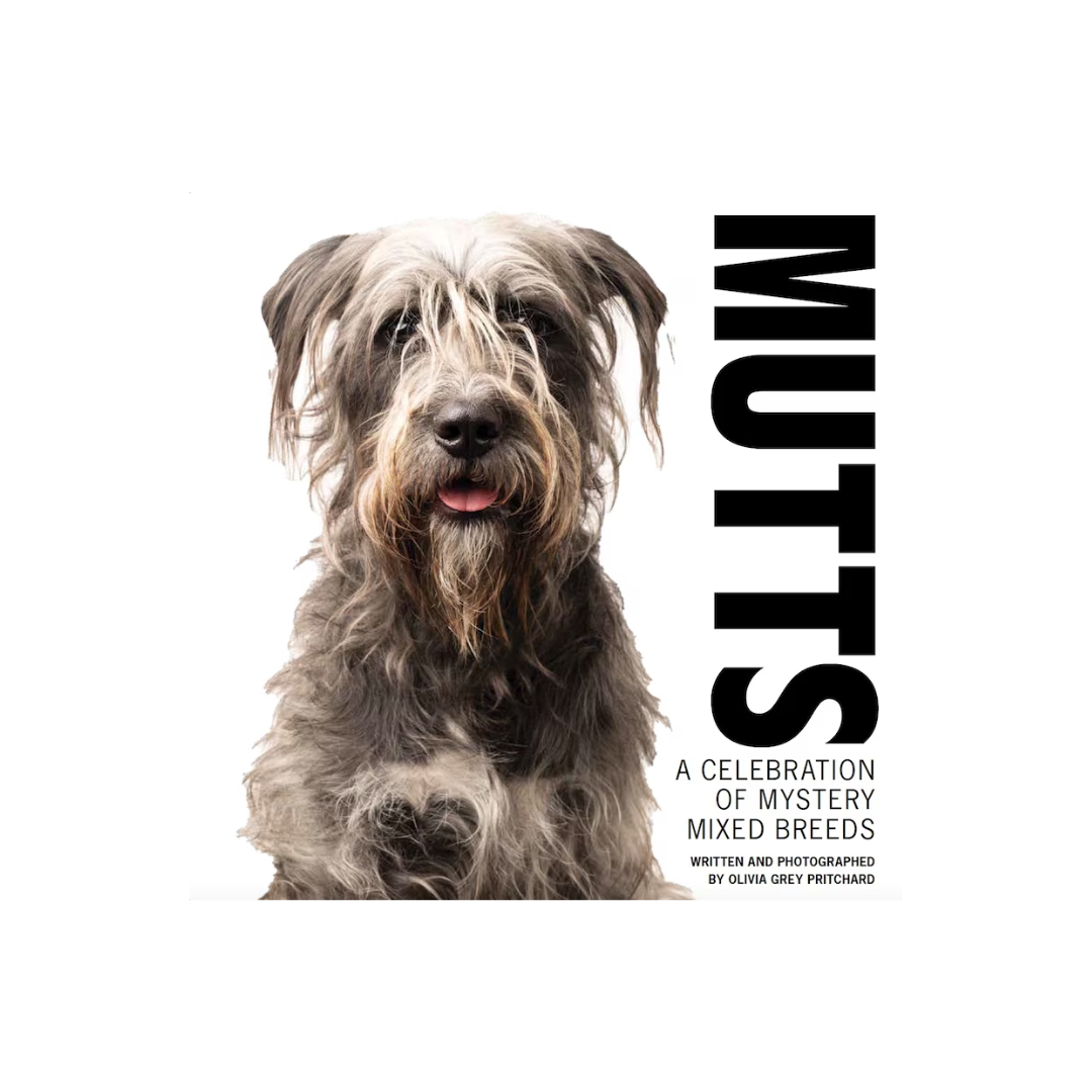 Mutts : un livre célébrant les chiens de race mixte mystérieuse