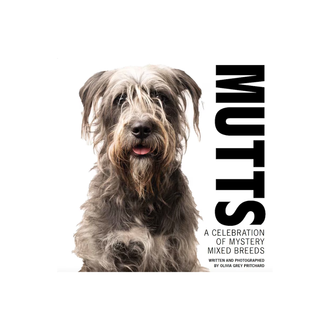 Mutts: A Celebration Of Mystery Mixed Breeds Book