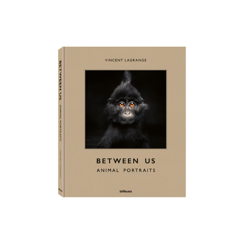Between Us: Animal Portraits Book