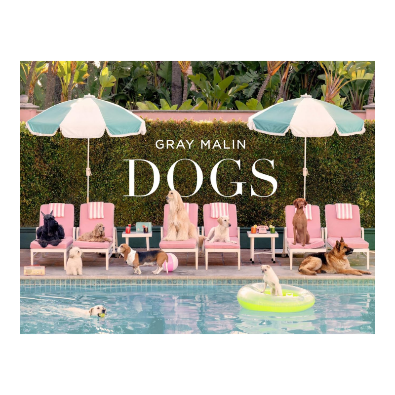 Gray Malin Dogs Photographs Book