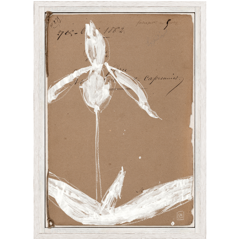 French Floral VI Wall Art