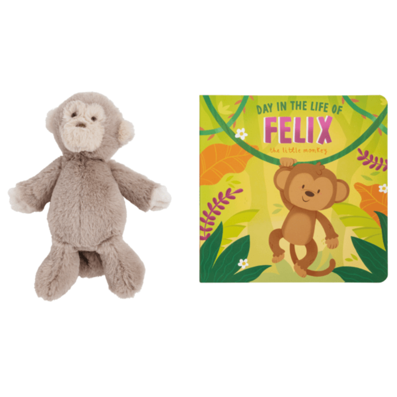 Baby Book &amp; Plushie