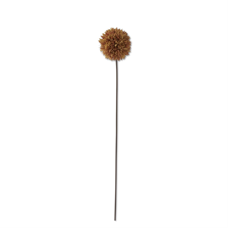 Brown Allium Stem