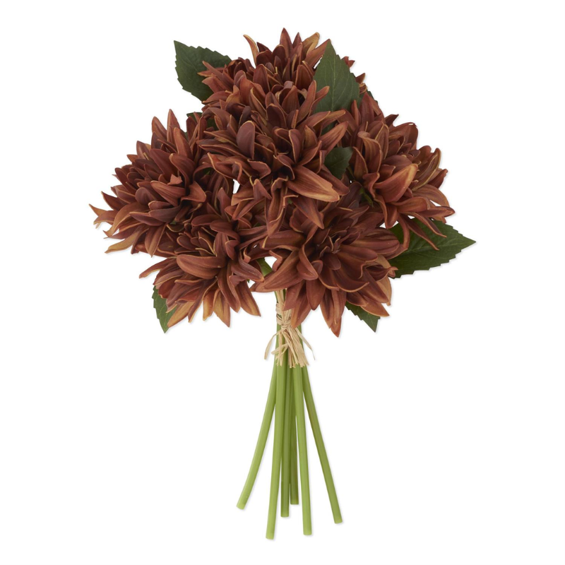 Brown Dahlia Bundle