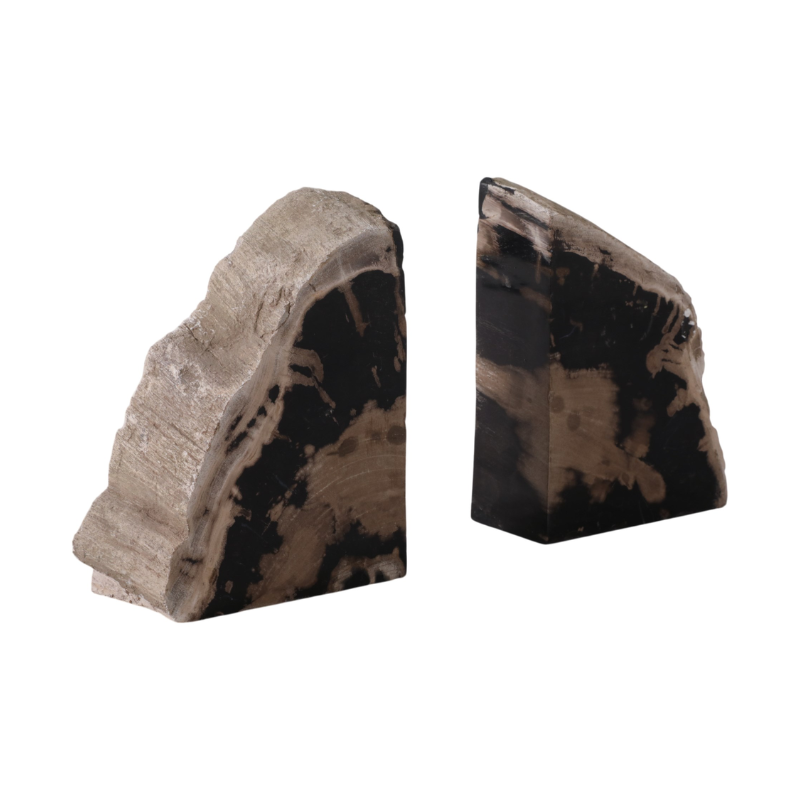 Petrified Wood Bookends