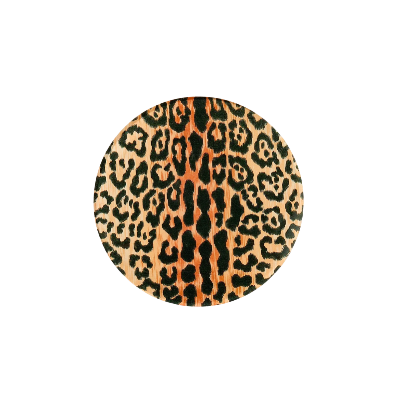 Set of 4 Leopard Coasters