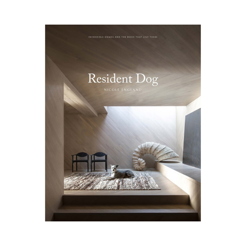 Resident Dog Volume Two Book